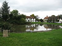 Village_Duck_Pond,_Haddenham-geograph-2110126-by-Richard-Rogerson.jpg
